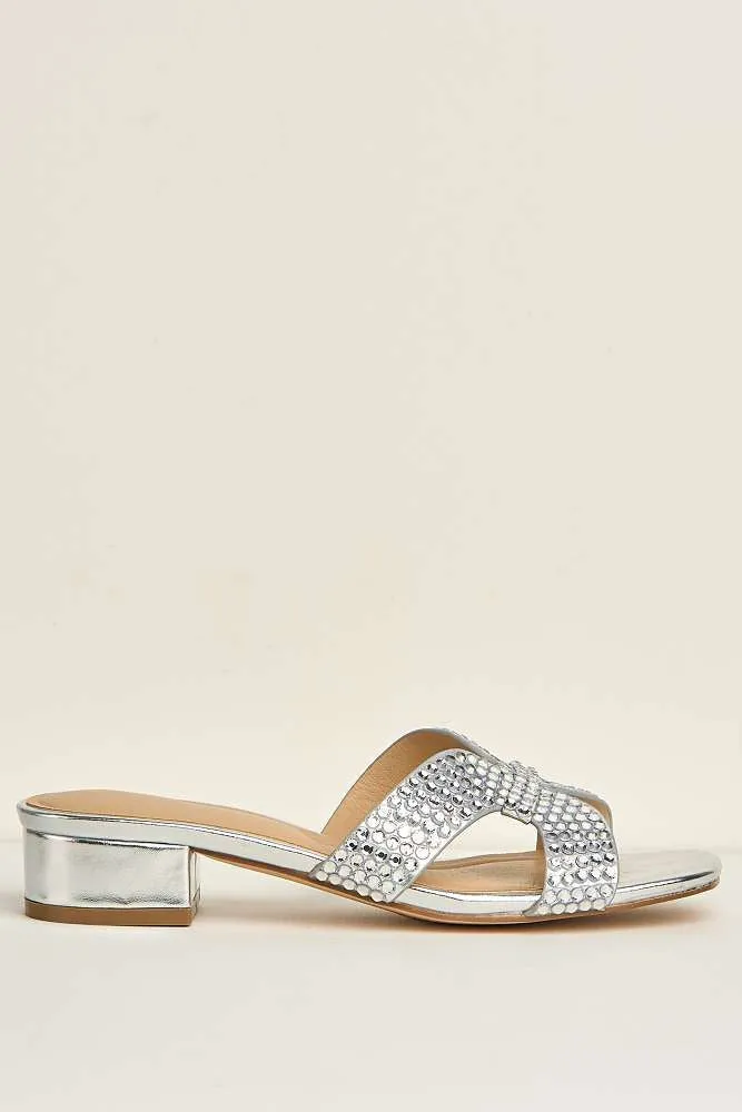 Della Gemstone Embellished Slip On Block Heel Mules in Silver